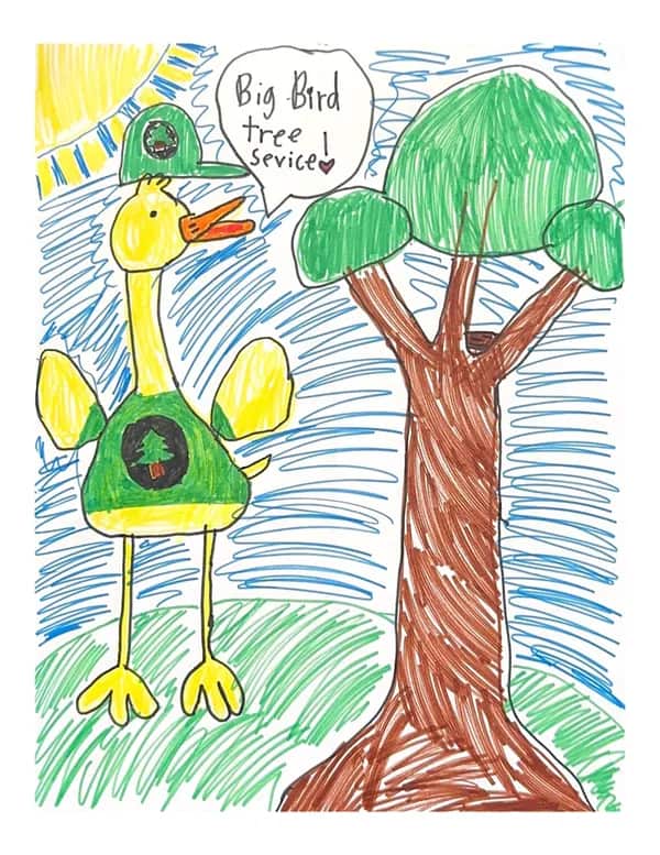 Completed tree service projects by Big Bird Tree Service in Dallas