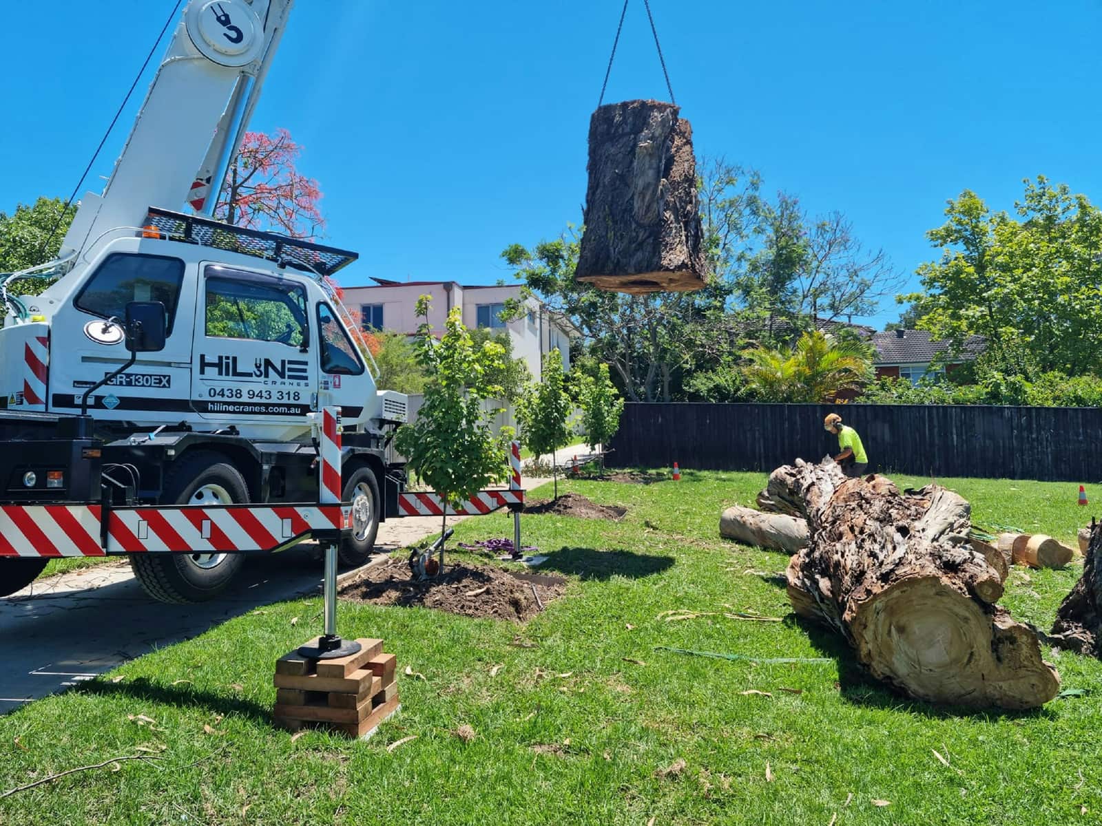 Stump grinding Dallas